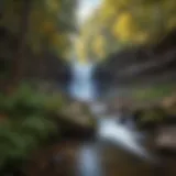 A tranquil view of Fall Creek Falls surrounded by lush greenery.
