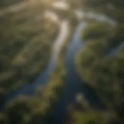 Aerial view of Louisiana's diverse ecosystems showcasing wetlands and forests