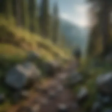 Hiker navigating a rocky trail with panoramic landscape