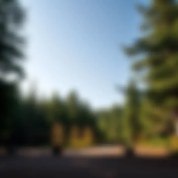 Exploring Indiana State Park Campgrounds: A Comprehensive Guide Summary Exploring Indiana State Park Campgrounds: A Comprehensive Guide Summary