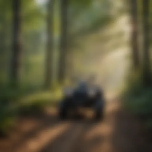 Scenic view of an ATV trail in Indiana's lush forest