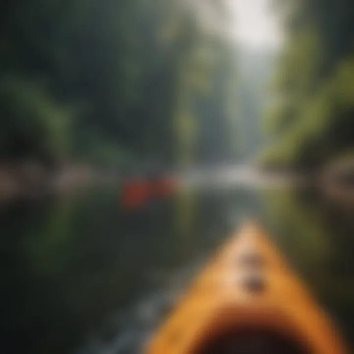 Kayakers navigating the winding waters of the gorge