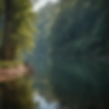 Fishing Serenity at Lake Rabun Angler casting line into the tranquil waters of Lake Rabun
