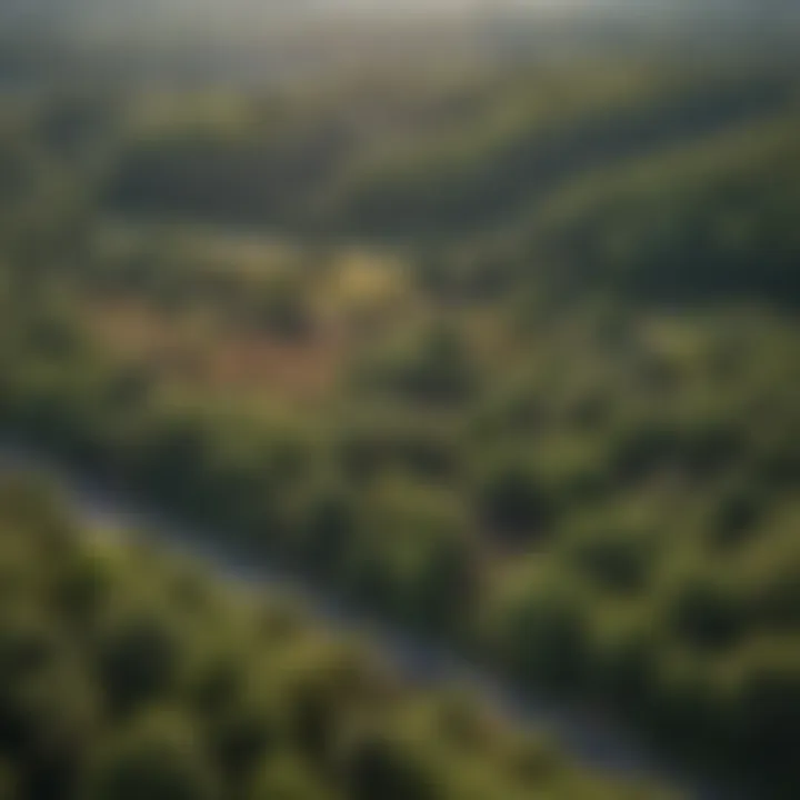 Aerial view of parcels of land with marked boundaries