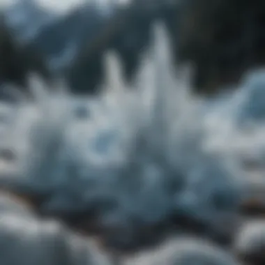 Close-up of glacial ice formations showcasing intricate details