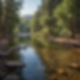Tranquil fishing spot in New Mexico's aquatic ecosystem