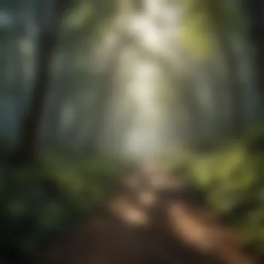 The Intersection of Social Work and Environmental Stewardship A landscape symbolizing the connection between social work and nature