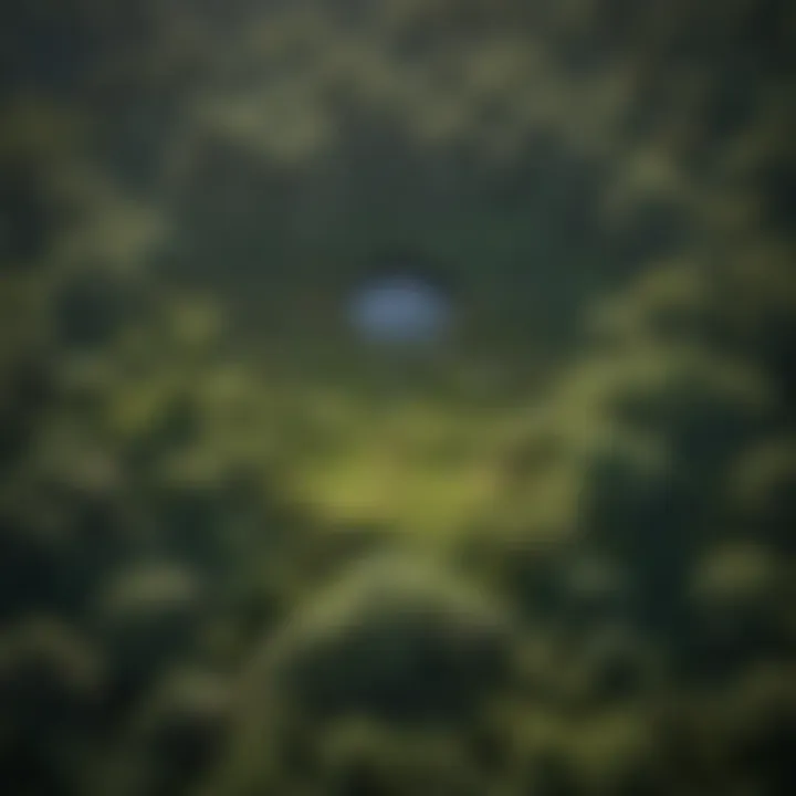 An aerial view of interconnected ecosystems illustrating the beauty and complexity of paradise pastures.