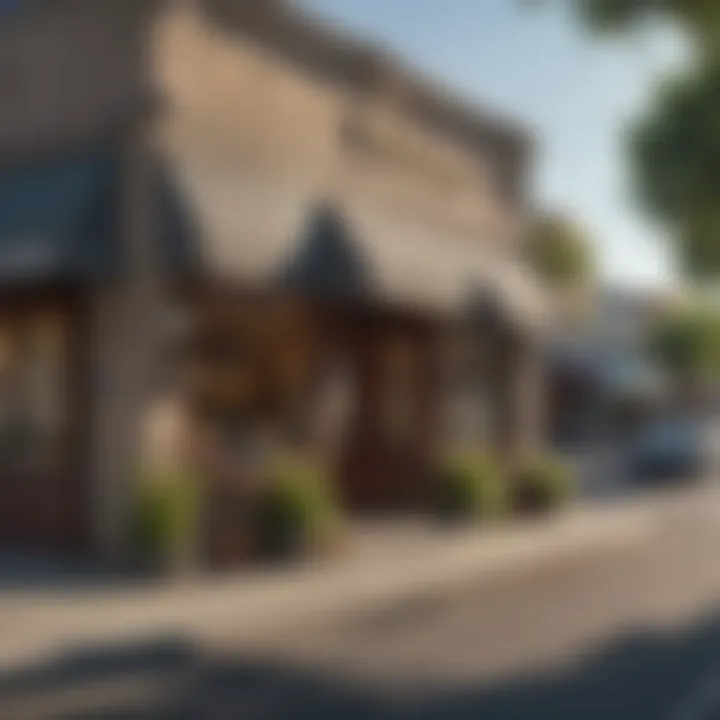 A vibrant street scene in Lake Forest showcasing various local businesses.