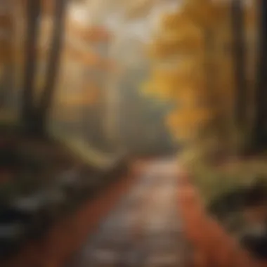 Pathway through a forest adorned with autumn colors