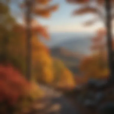 Scenic View of the Blue Ridge Mountains in Fall Scenic view of the Blue Ridge Mountains during fall