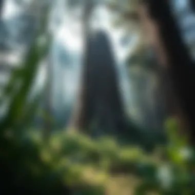 Exploring Pileate: A Comprehensive Examination of Its Significance in Forest Ecology Introduction Exploring Pileate: A Comprehensive Examination of Its Significance in Forest Ecology Introduction