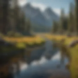 Panoramic view of Montana's diverse landscapes showcasing mountains and forests