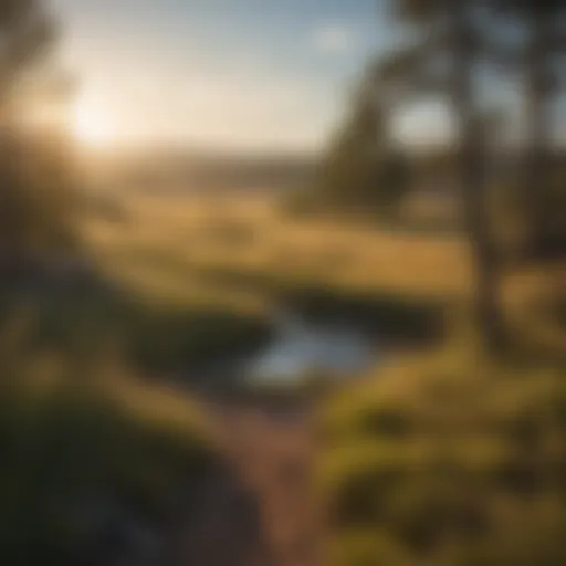 A serene landscape of South Dakota's public hunting land showcasing diverse habitats.