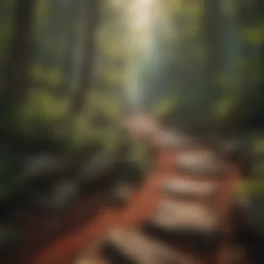 Scenic Hiking Trail Scenic hiking trail in Red River Gorge