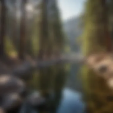 Majestic San Bernardino National Forest Stunning view of San Bernardino National Forest