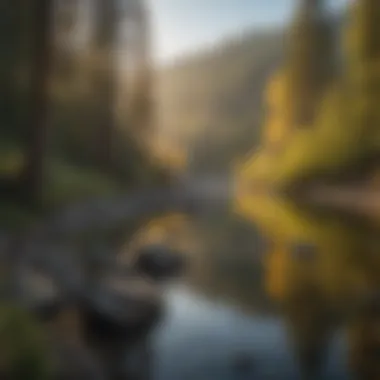 Evening Serenity at Smith River Sunset casting golden hues over the tranquil landscape of Smith River
