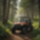 Scenic UTV trail winding through lush forests
