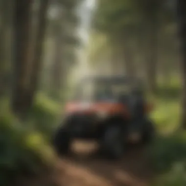 Scenic UTV trail winding through lush forests