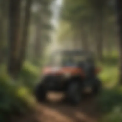 Scenic UTV trail winding through lush forests