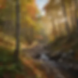 Panoramic view of Stratton Mountain's lush landscape during autumn