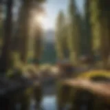 A serene view of a Sun Valley campsite nestled among towering trees