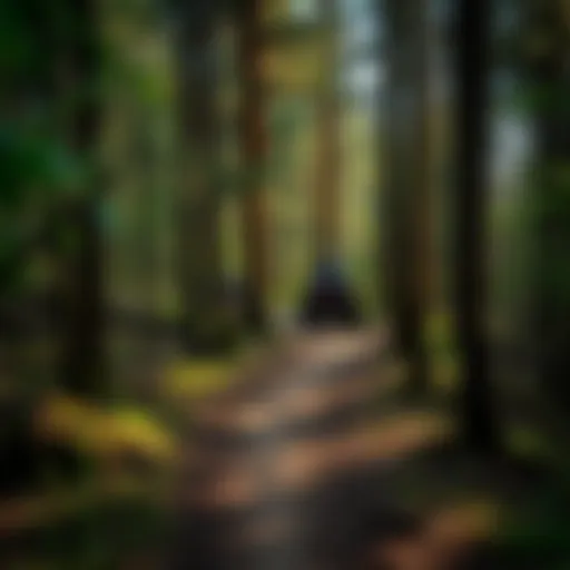 Exploring SXS Trails in Ohio: An In-Depth Analysis Introduction