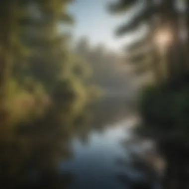 Scenic view of a hidden fishing lake surrounded by nature