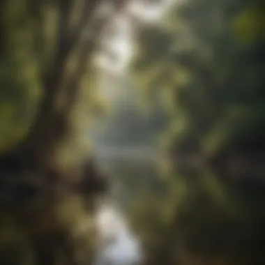 Angler at a Serene River Tranquil river scene with angler casting a line