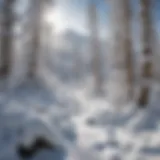 Expansive snow-covered landscape in Utah