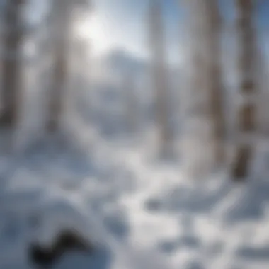 Expansive snow-covered landscape in Utah