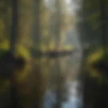 Canoeing on calm waters with reflections of trees in the Boundary Waters