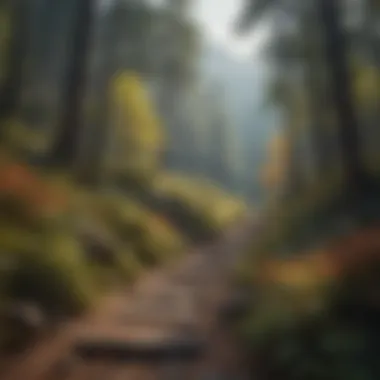 Hiking trail leading through vibrant mountain foliage