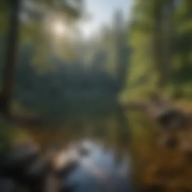 A tranquil lake surrounded by lush forests in the mountains