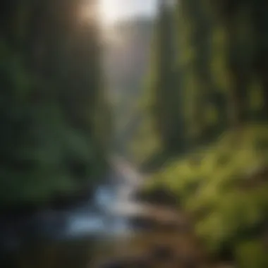 Diverse Landscapes of the Columbia Gorge Vast panorama of diverse landscapes including forests and canyons