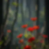 Exploring the Diversity and Significance of Wild Red Flowers Introduction