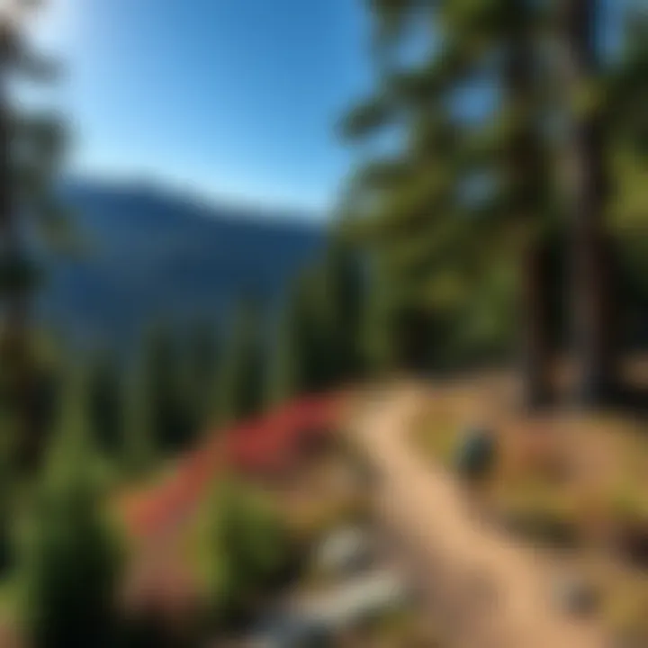 Notable Exploring the Green Mountain Hiking Trail: A Comprehensive Guide Notable Exploring the Green Mountain Hiking Trail: A Comprehensive Guide