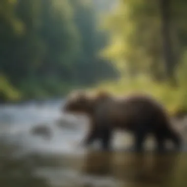 A riverbank scene with brown bears fishing for salmon, highlighting the importance of aquatic habitats.