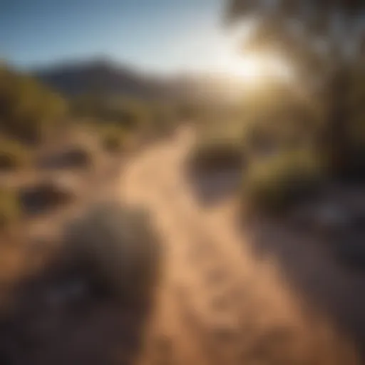 Vast desert landscape with hiking trail in Albuquerque