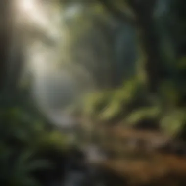 Conservation efforts in the Luquillo Rainforest