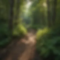 The serene landscape of the Manistee Trail Loop showcasing lush greenery and diverse flora.