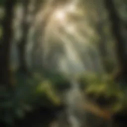 Lush delta forest canopy showcasing biodiversity