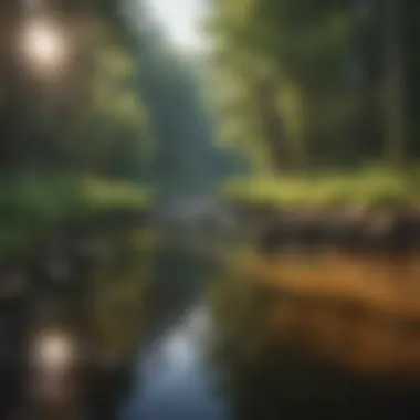 Promoting Eco-Friendly Practices Eco-friendly practices for preserving the Niobrara River