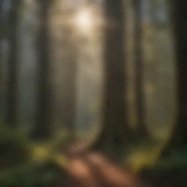 Conservation Efforts in Oregon's Redwoods Significant conservation efforts in Oregon's redwood regions