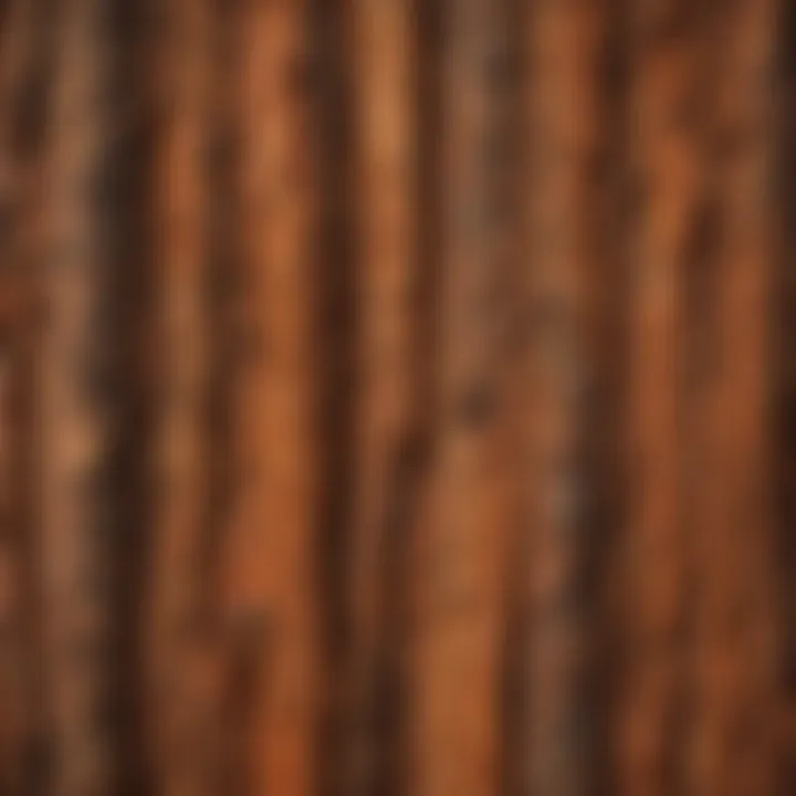 Close-up of redwood bark illustrating unique texture