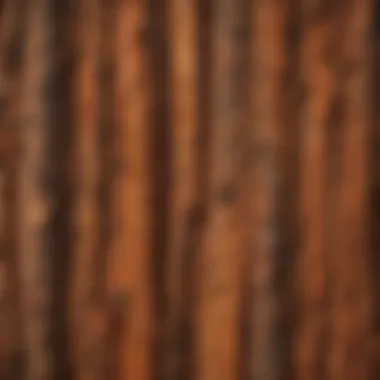 Unique Texture of Redwood Bark Close-up of redwood bark illustrating unique texture