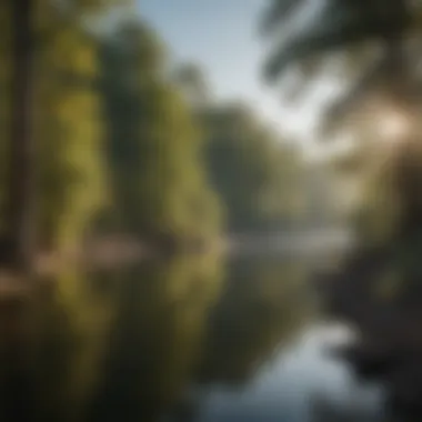Ecological Beauty of the Ouachita River A picturesque landscape of the Ouachita River, highlighting its ecological significance.