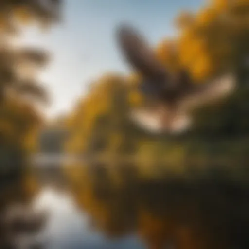 A serene view of the Charles River with local birds in flight