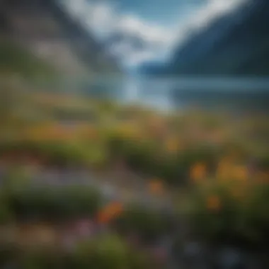 Vibrant wildflowers against a backdrop of glaciers