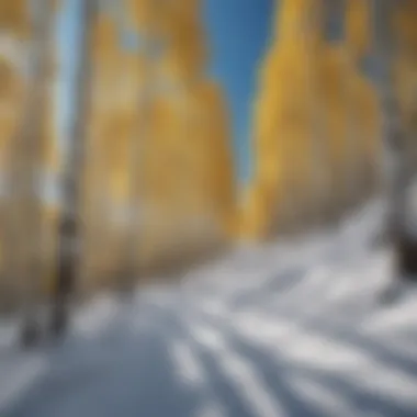 A breathtaking panoramic view of Aspen's ski slopes Panoramic view of the Aspen ski slopes under a clear blue sky
